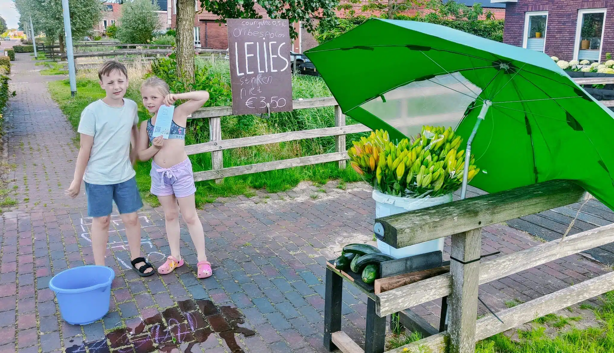 WhatsApp Image 2024-07-12 at 09.13.06